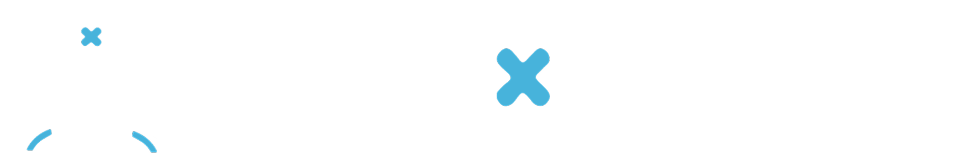 connext interim logo wit